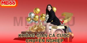 Không gian cá cược chuyên nghiệp