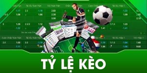 Tỷ lệ kèo 8xbet cung cấp thông tin chính xác từng ngày từng giờ