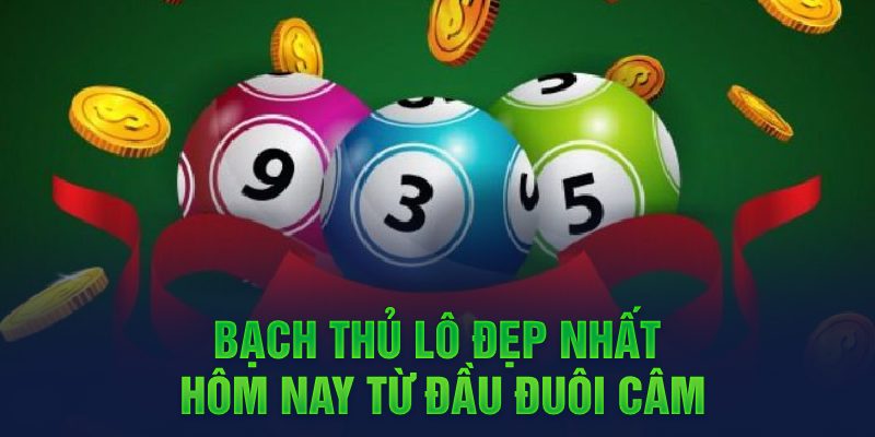 Bạch thủ lô đẹp từ đầu đuôi câm