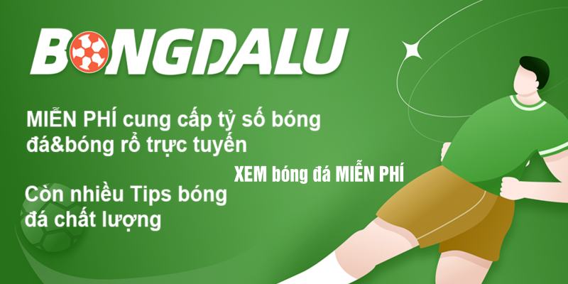 Giới thiệu và đánh giá chung về cẩm nang Bongdalu