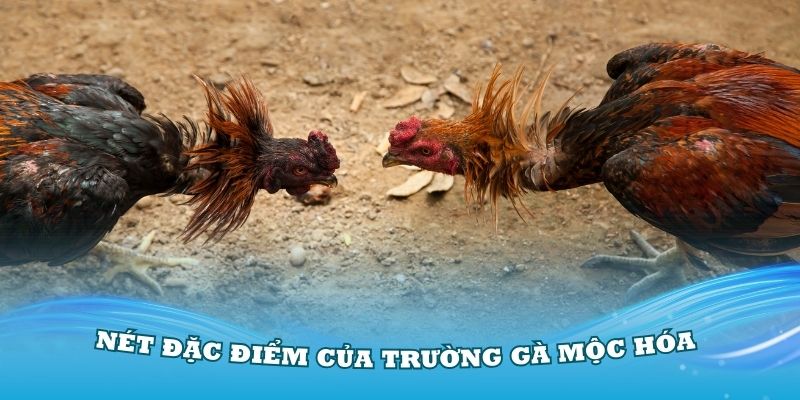 truong-ga-moc-hoa-dac-diem